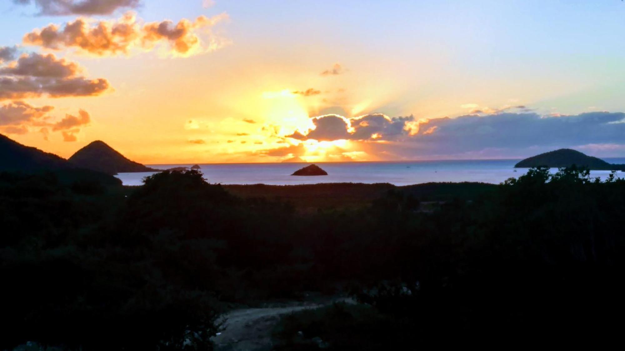 Zeus Estate Guesthouse St. John's Exteriér fotografie